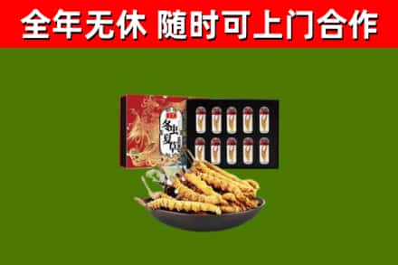 细河区回收冬虫夏草价格